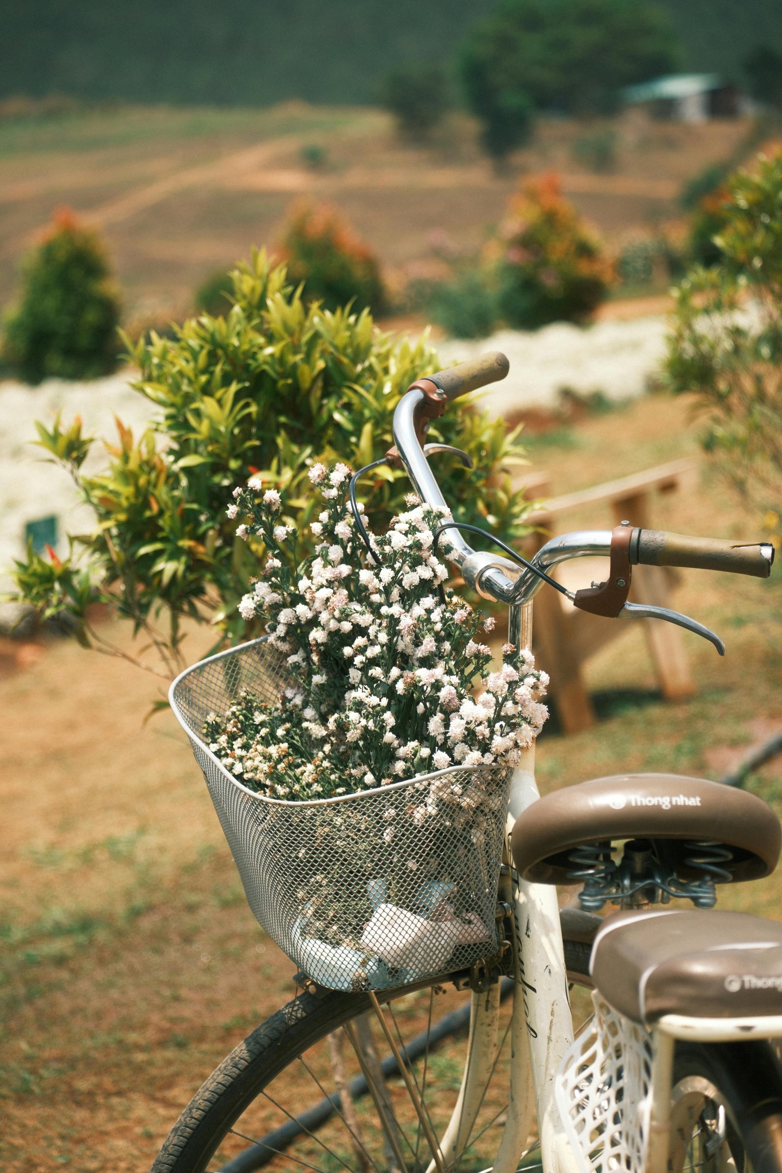 Mansion de lujo Mansión de lujo Mansion España Mansion eventos Mansiones Mansiones en mallorca Mansiones España Fincas para eventos en mallorca Finca con piscina para celebraciones Finca con piscina para fiesta Finca con piscina para cumpleaños